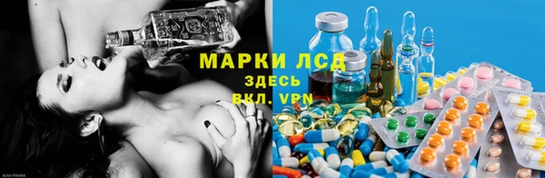 мяу мяу мука Баксан
