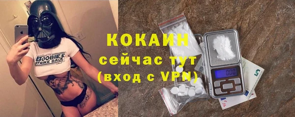 мяу мяу мука Баксан