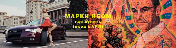 мяу мяу мука Баксан