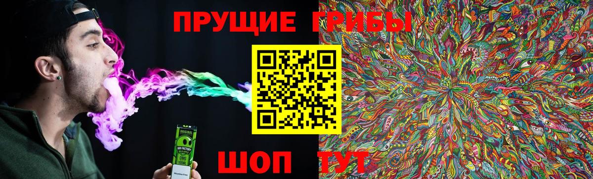 Псилоцибиновые грибы Psilocybe  Вход с VPN  Верхняя Салда 
