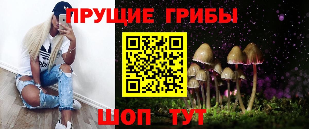 Галлюциногенные грибы Psilocybe Верхняя Салда